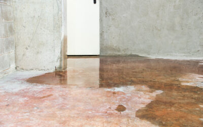 When Does Basement Water Damage Become a Structural Issue?